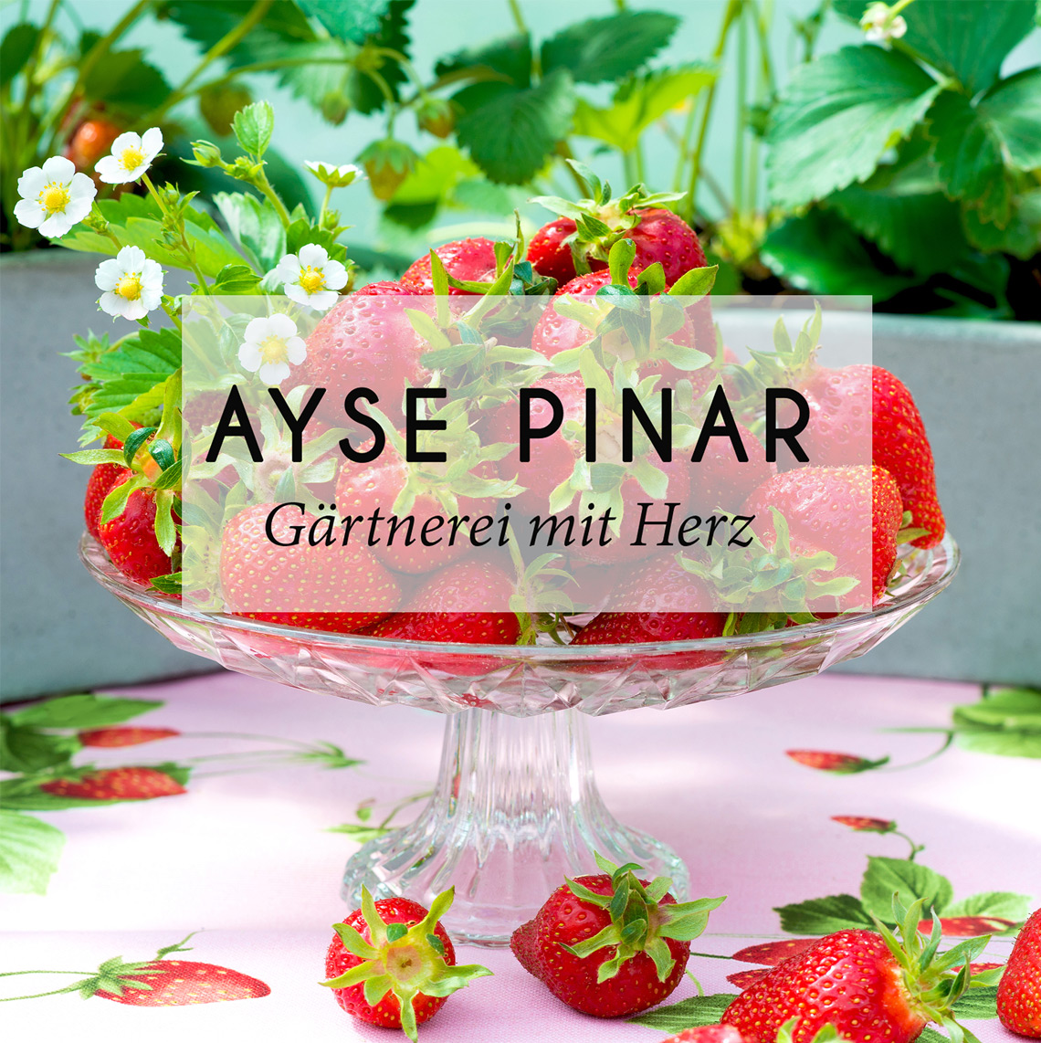 Gärtnerei Pinar Heilbronn